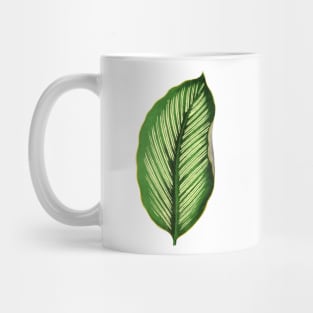 Calathea Ornata Beauty Star - Rothschild Mug